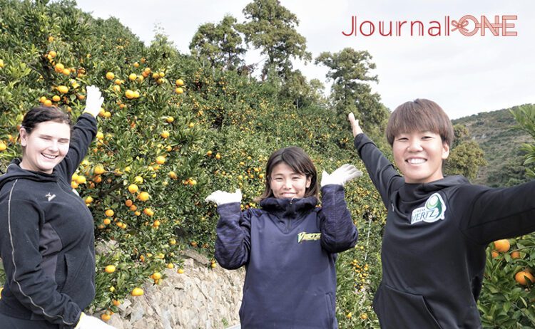 Journal-ONE JDリーグ 伊予銀行ヴェールズ みかん収穫作業 庄司奈々投手 安川裕美捕手 リサ・モールデン内野手