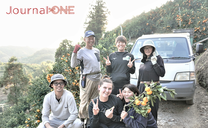 Journal-ONE JDリーグ 伊予銀行ヴェールズ 庄司奈々 安川裕美 リサ・モールデン