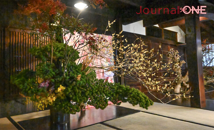 四国を元気に! | JR四国と女子ソフト・伊予銀行ヴェールスの地域創生 川口茉菜,庄村瑠衣､遠藤杏樺の3選手が徳島県美馬市・重要伝統的建造物群保存地区 “うだつの町並み” を散策-Journal-ONE