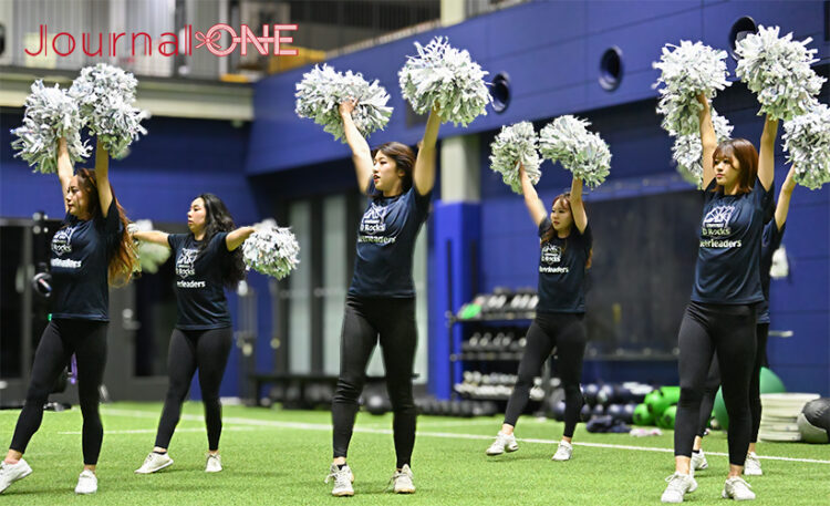 ラグビーリーグワン | D1昇格に挑む浦安D-Rocks-Journal-ONE