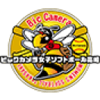 ビックカメラ高崎ビークイーン