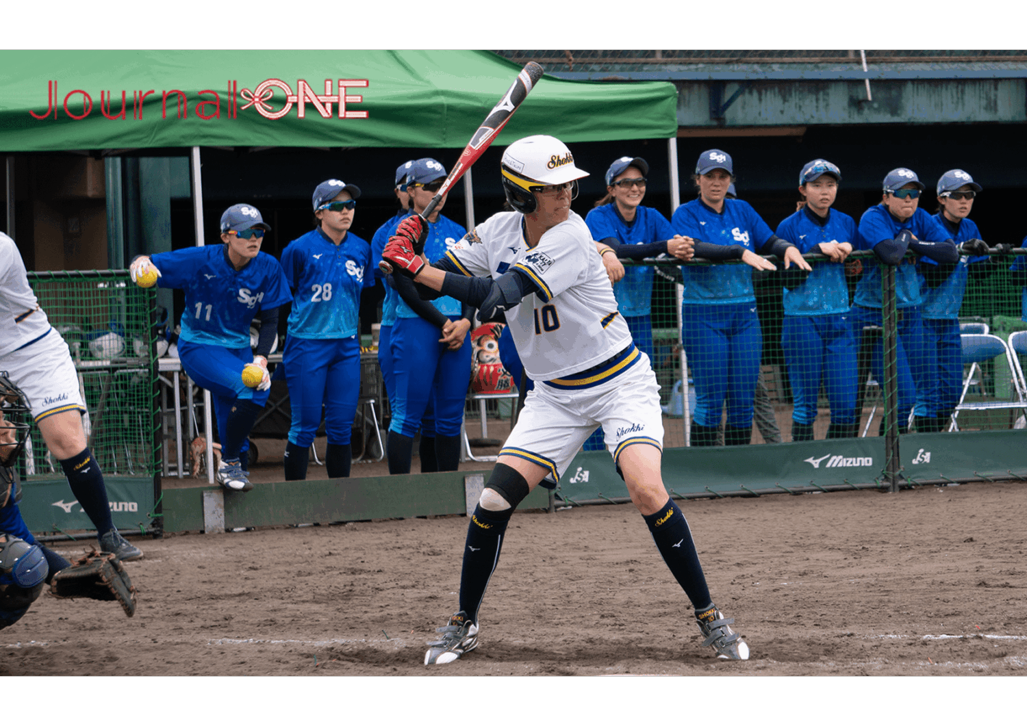 田井 亜加音