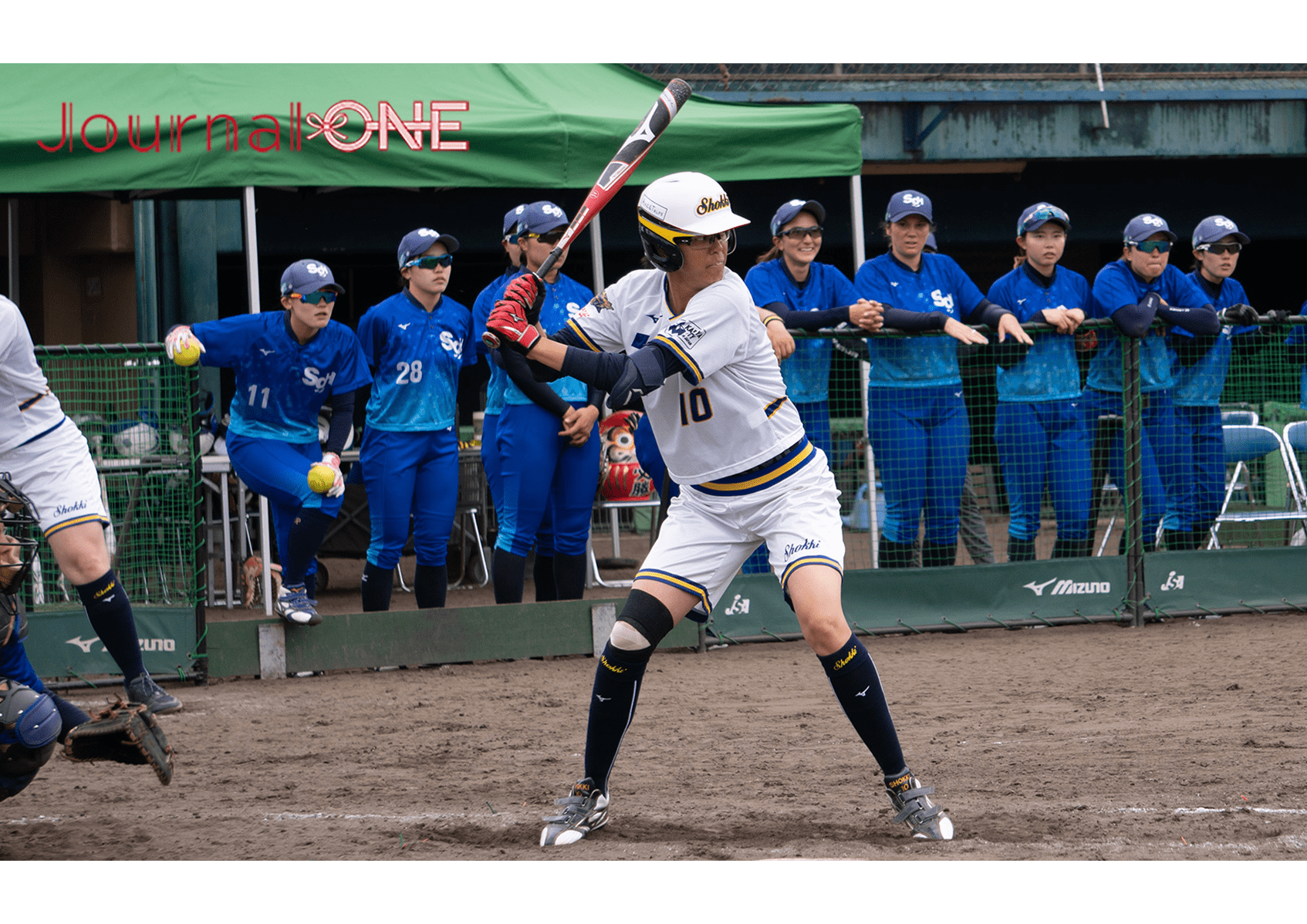 田井 亜加音
