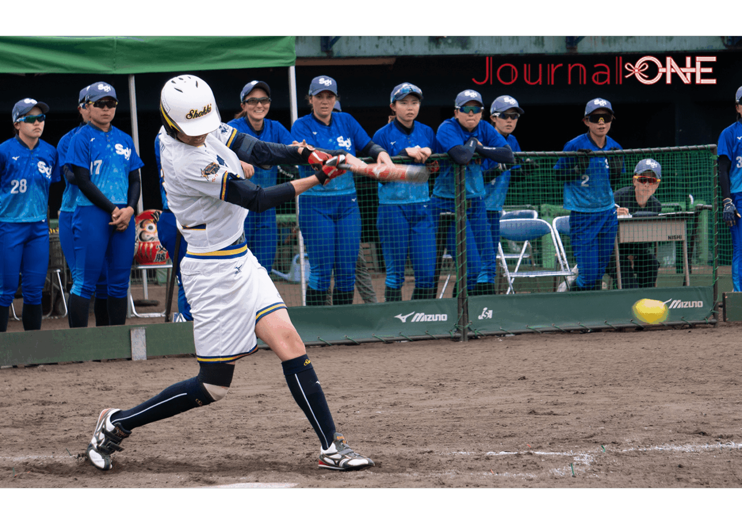 田井 亜加音