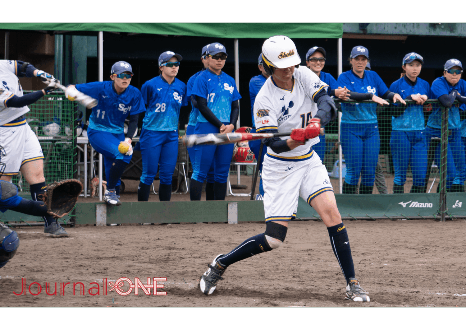 田井 亜加音