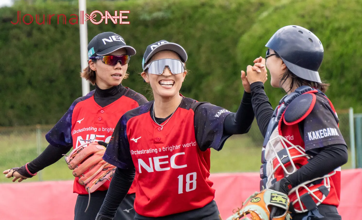 大木ナーサリー　ノスタルジアdd6号充実株！ 大木ナーサリー ノスタルジアdd6号充実株！