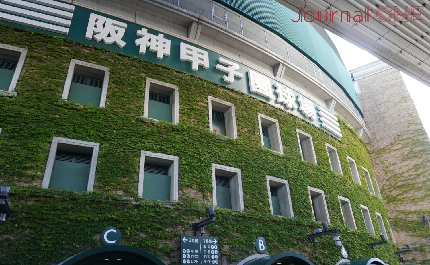 地響きのような声援が渦巻く聖地、阪神甲子園球場の蔦が絡まる外観と入場ゲート前の賑わい。