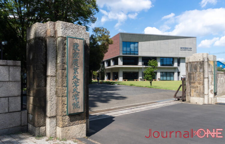 世田谷の閑静な住宅街の中にある東京農業大学世田谷キャンパス