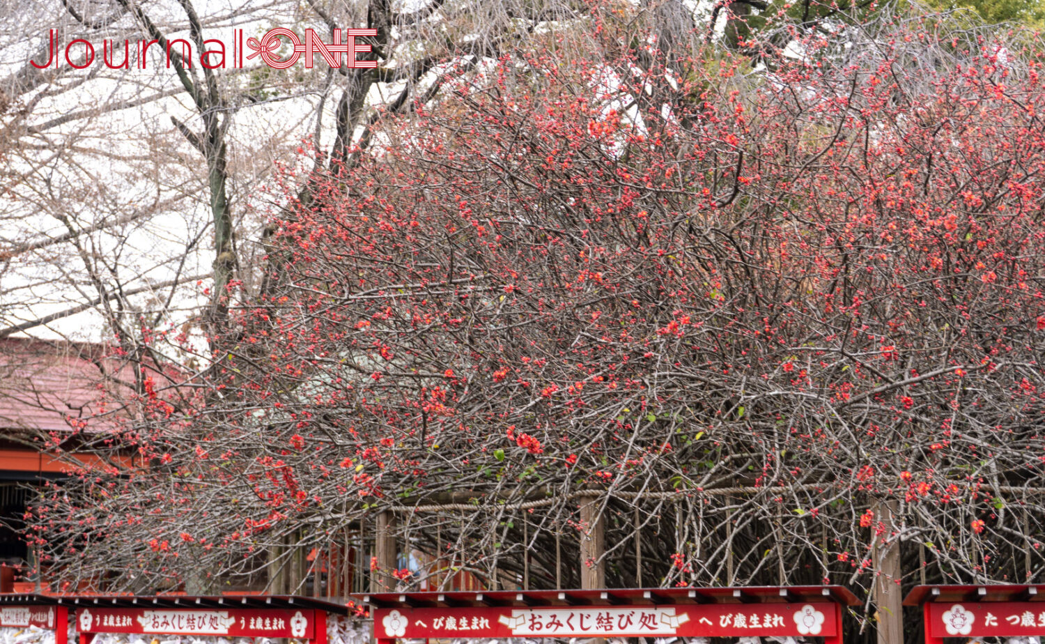 冠稲荷神社