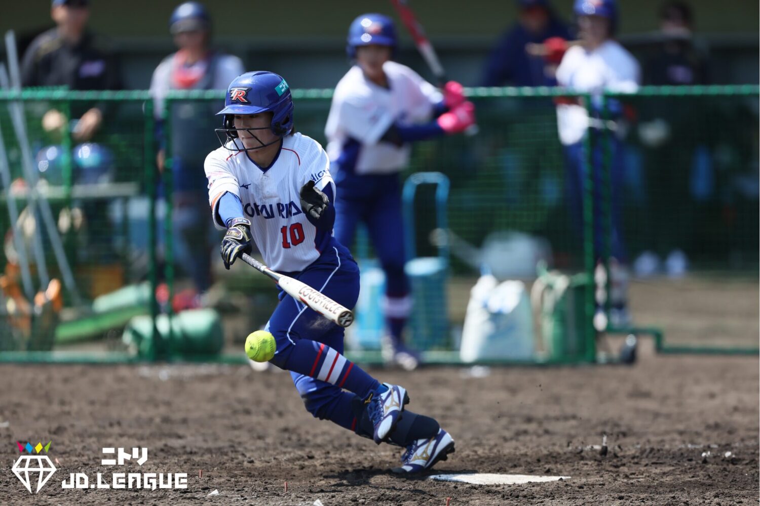 【再輝動】井上 瑞樹-東海理化チェリーブロッサムズ　JDリーグ