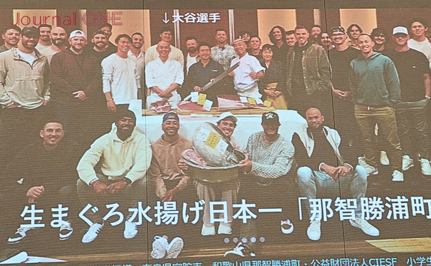 大谷翔平選手らがドジャースのチームメイトに振る舞った生マグロも那智勝浦産だ-Journal-ONE撮影