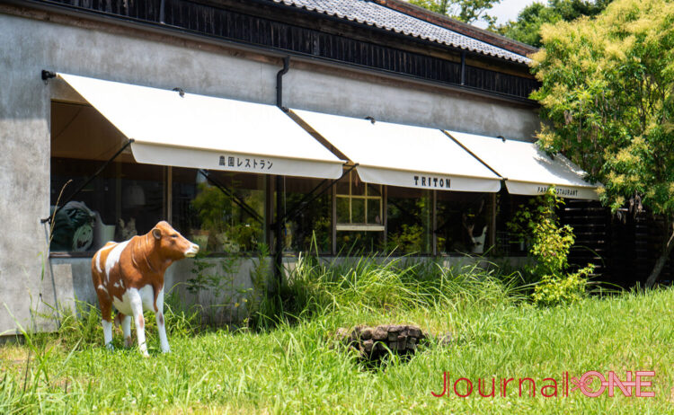 農園レストラントリトン