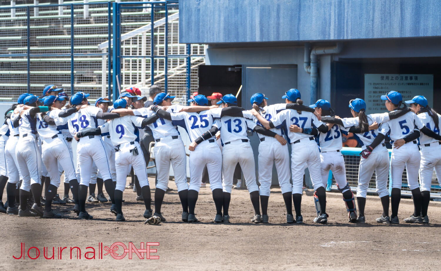大学女子野球界をけん引する武庫川女子大の選手たち-Journal-ONE撮影
