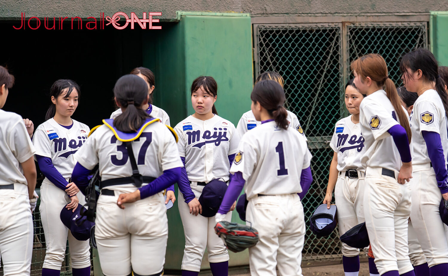夏の全国大会1勝が目標という明大女子硬式野球クラブ-Journal-ONE撮影