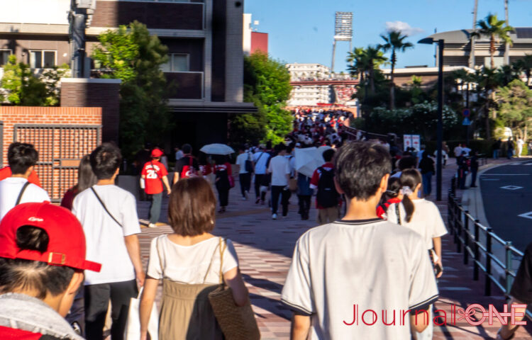 広島駅からマツダスタジアムへ続くカープロードの風景