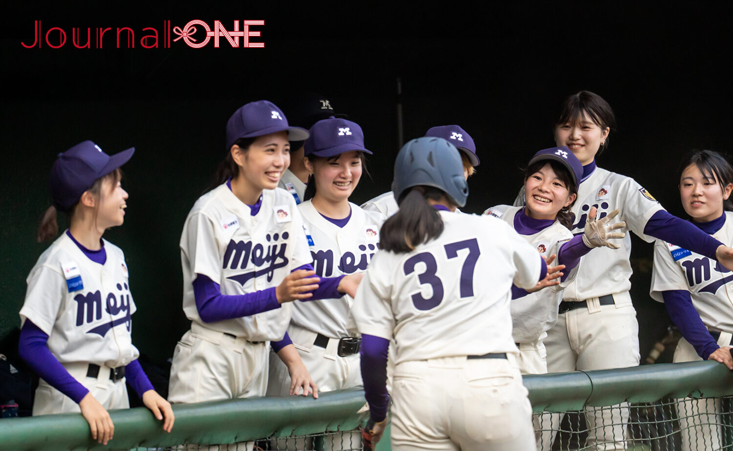 中栄信金スタジアム秦野（秦野市カルチャーパーク野球場）
