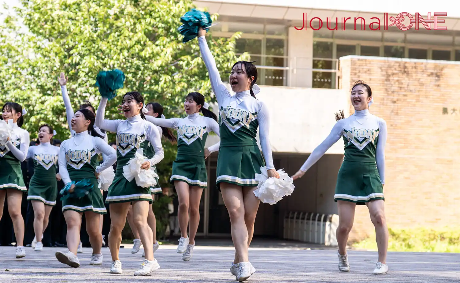全学応援団の力強い応援が学生の背中を押す！東京農業大学チアリーダー