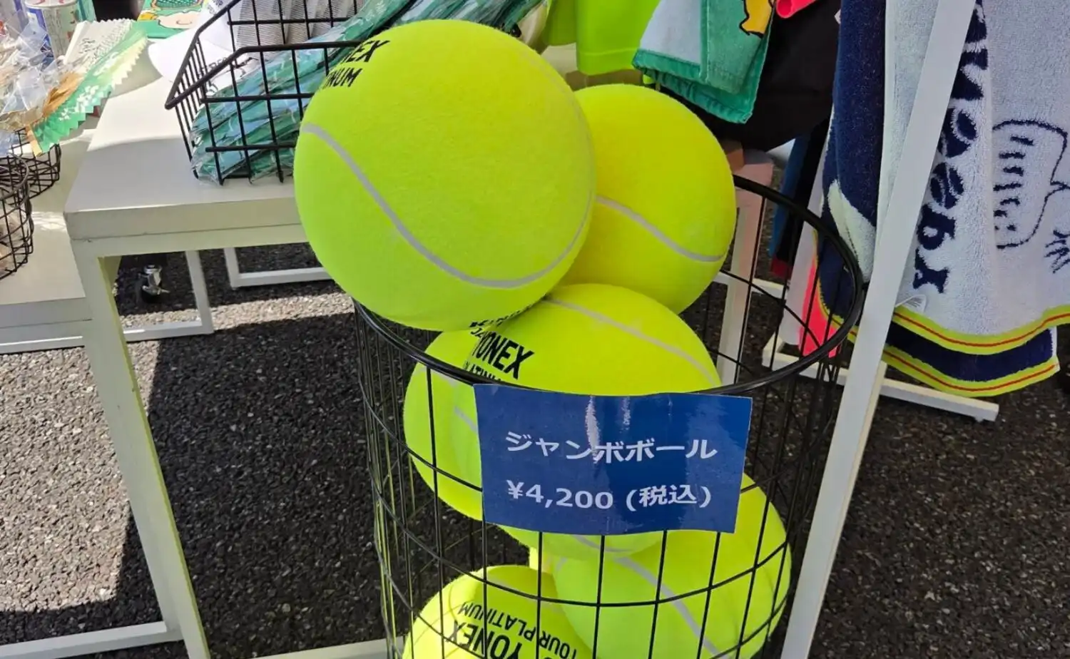 テニス世界No.1アルカラスが有明コロシアムに登場｜ATP観戦記