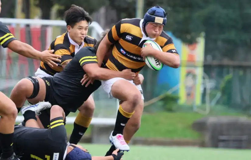 大学ラグビー新星たちが躍動！早稲田・帝京などの注目新人を紹介
