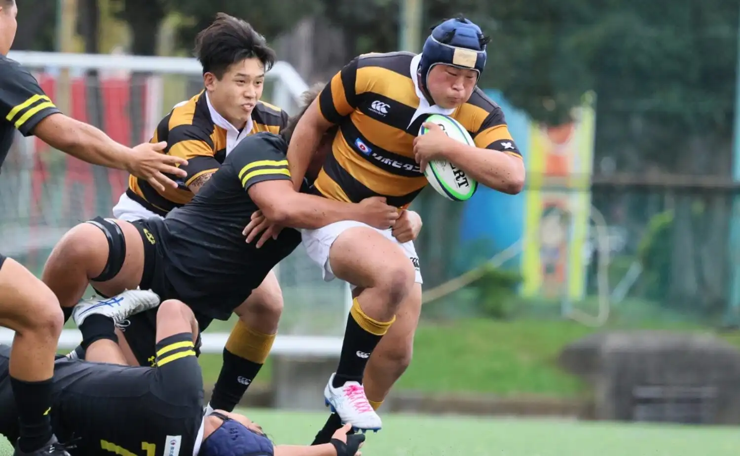 a53c66ca4fc962c1539818c03a1bb7