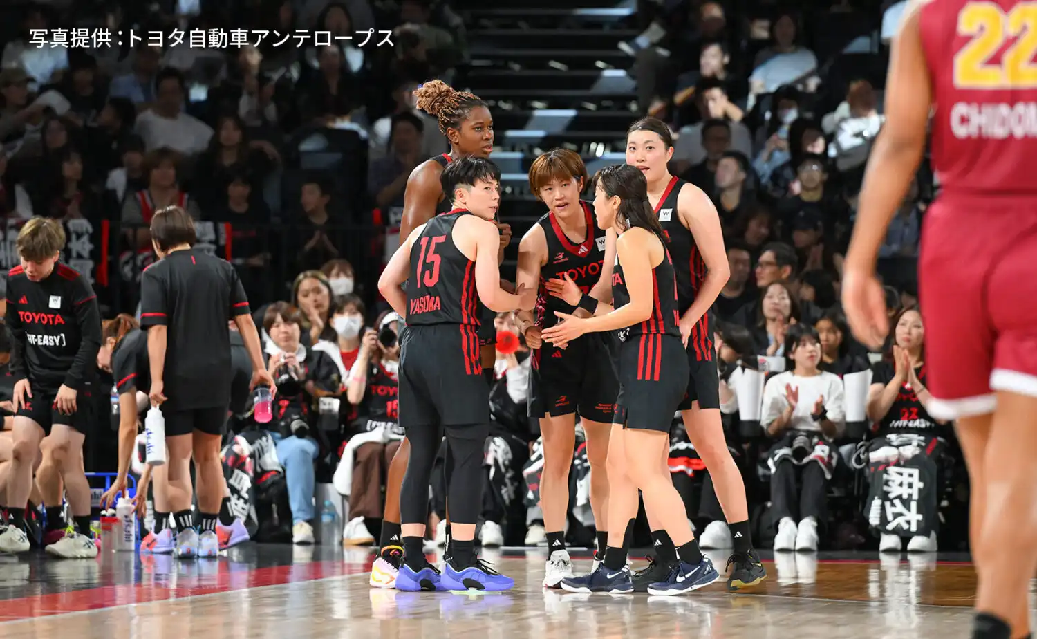 山本麻衣が語るアンテロープスの強さと挑戦｜独占インタビュー