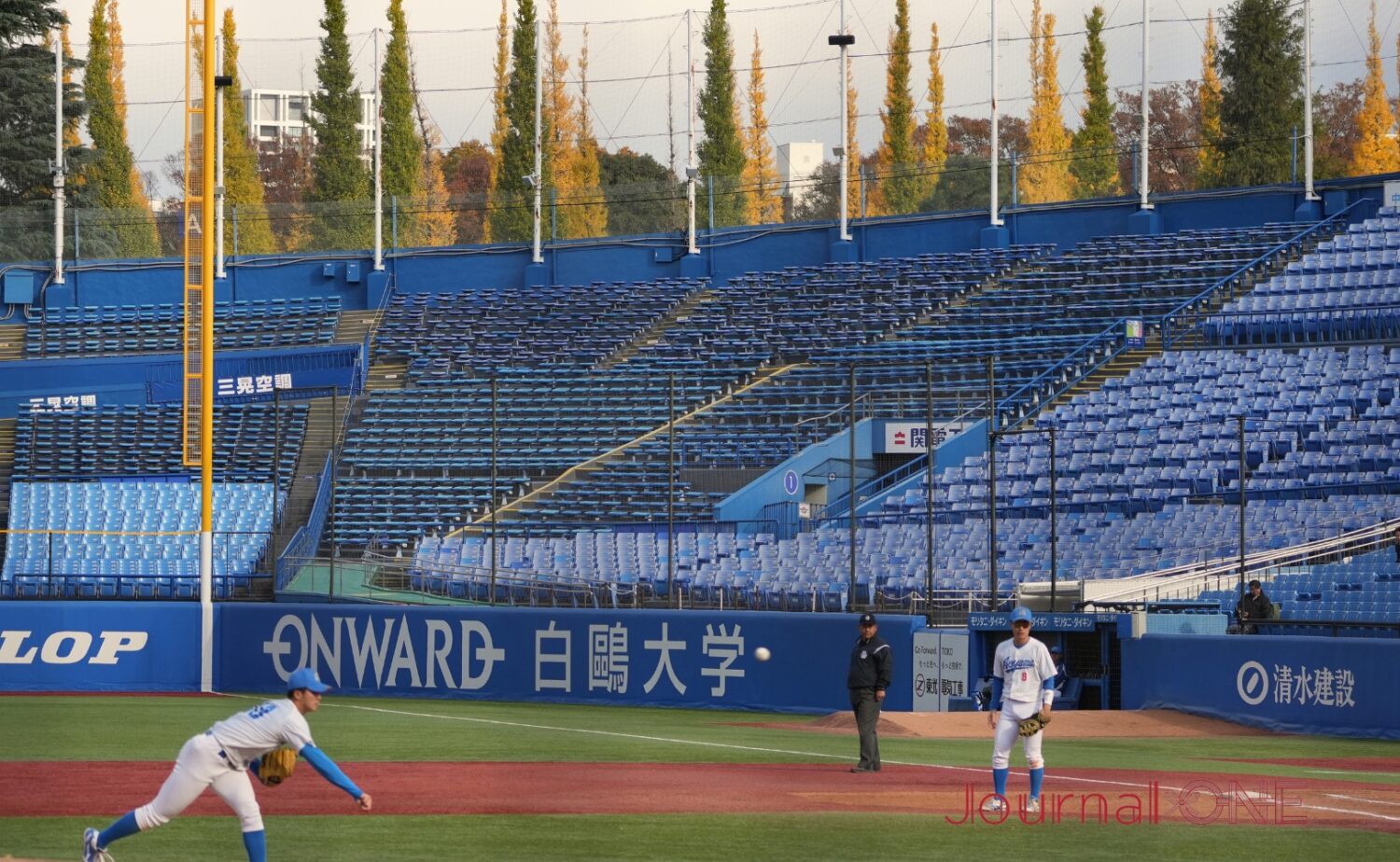 外苑の銀杏並木も色着く神宮球場
