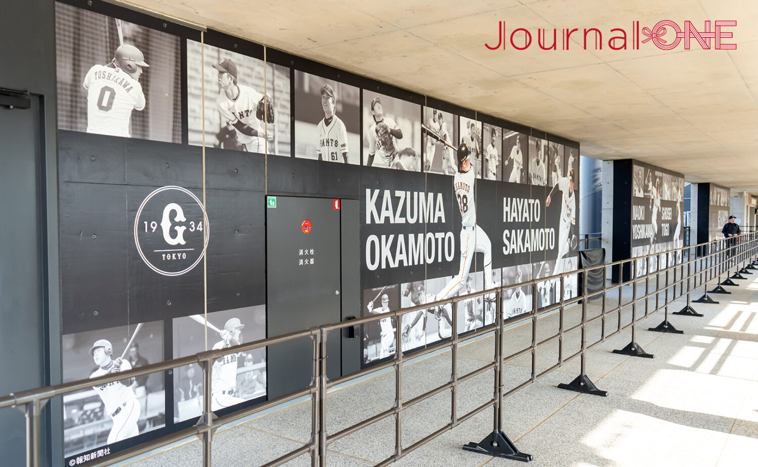 ジャイアンツタウン スタジアム