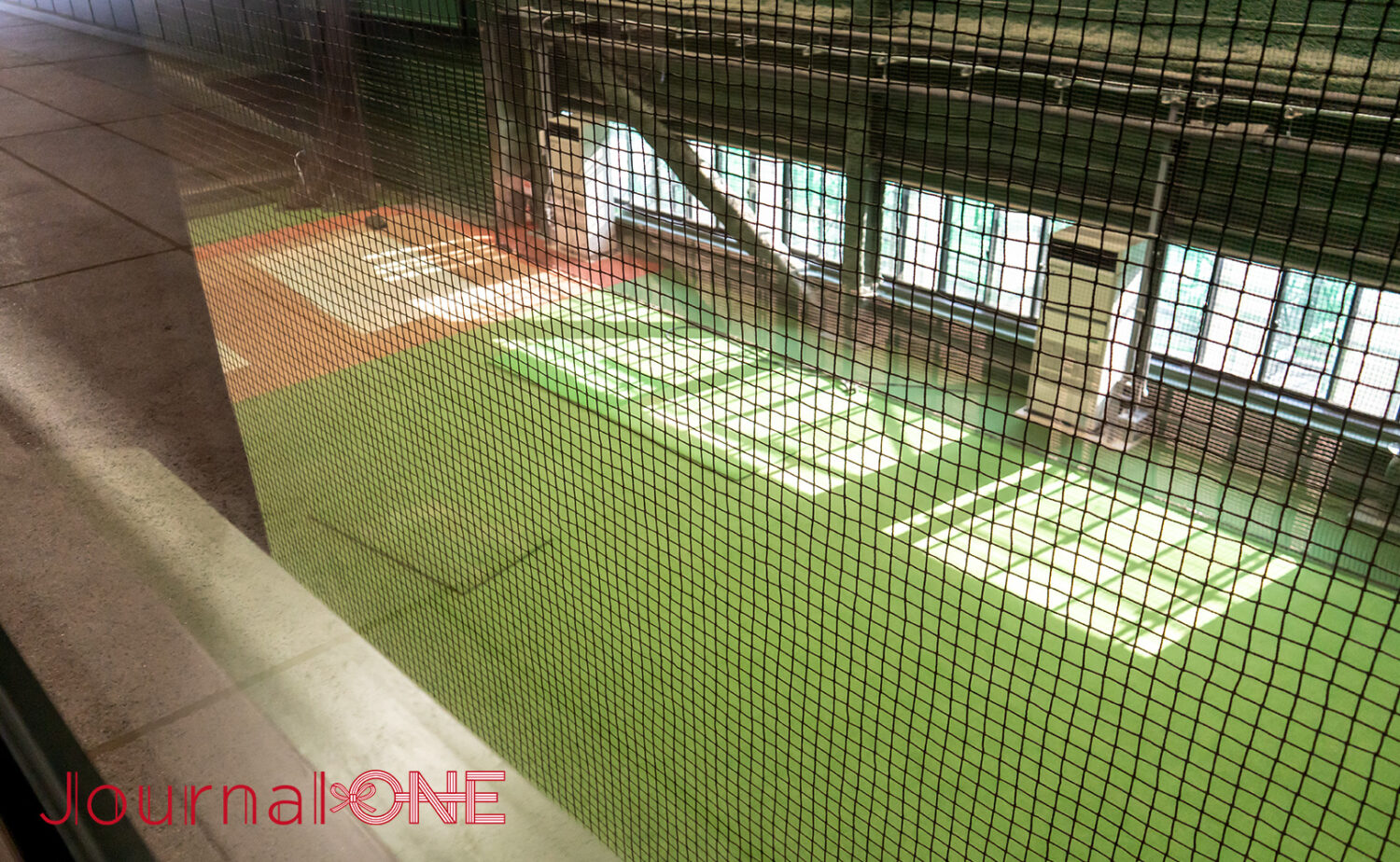 ジャイアンツタウン スタジアム