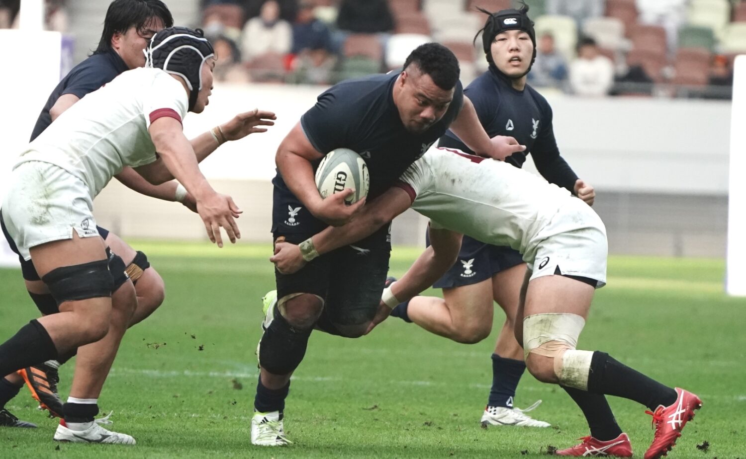 大学ラグビー・京都産業大学の中核、NO8ポルテレ