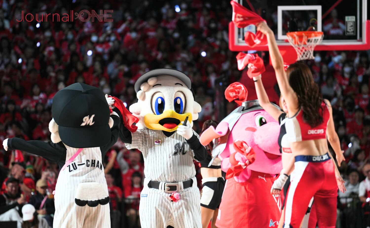 千葉ジェッツの試合に千葉ロッテマリーンズのキャラクターが応援に