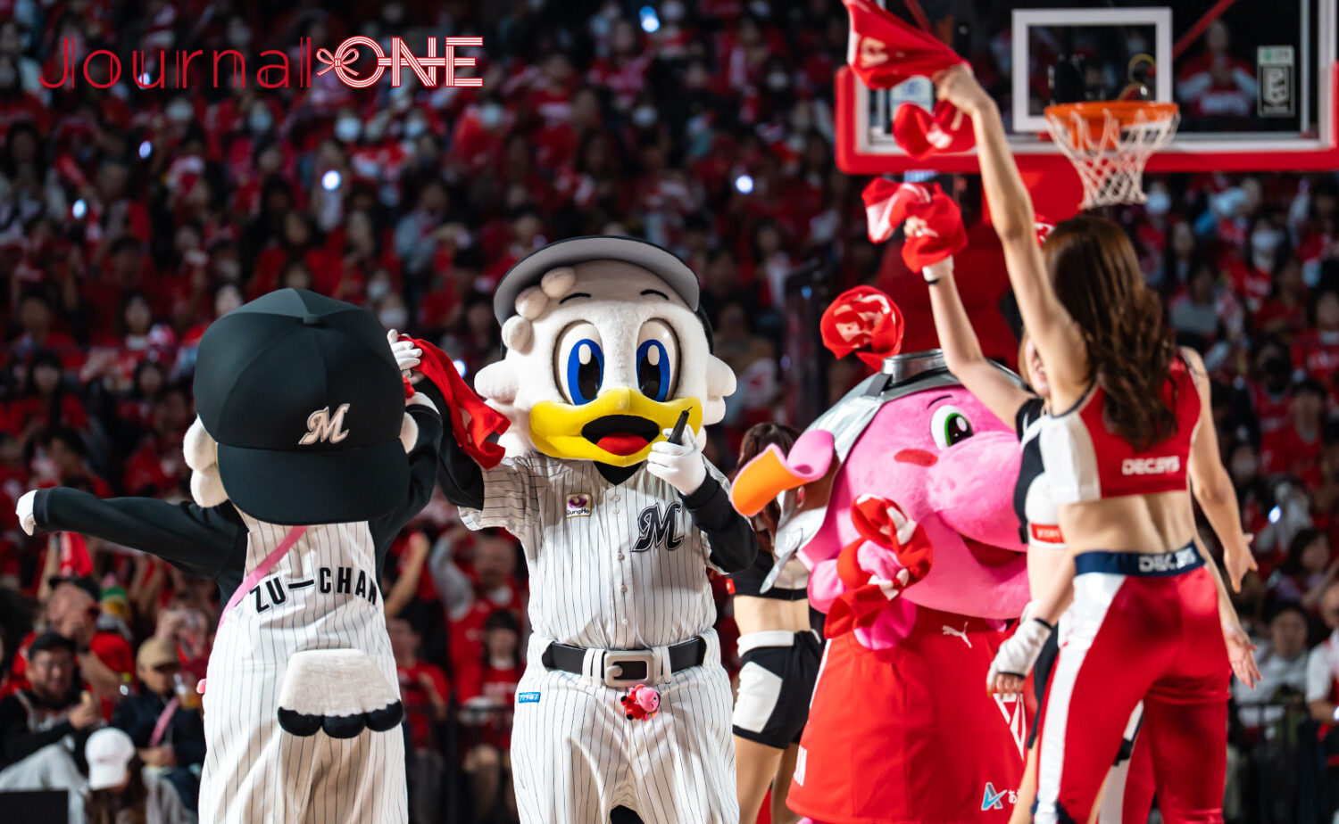 千葉ジェッツの試合に千葉ロッテマリーンズのキャラクターが応援に