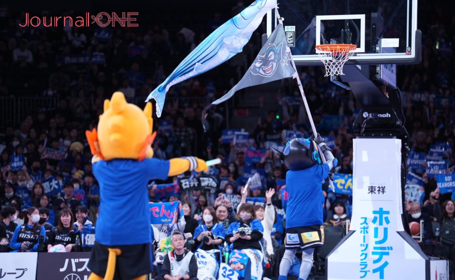 シーホース三河ブースターの熱狂的な応援