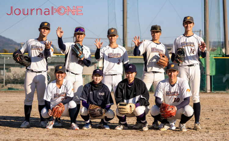女子野球 明大女子硬式野球クラブと和歌山大学硬式野球部のコラボが実現！