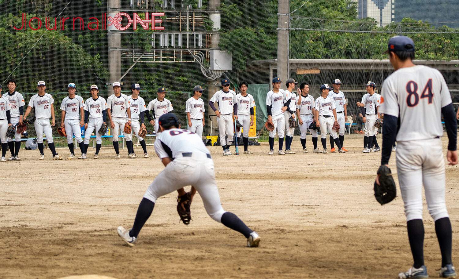 和歌山大学｜自然と知が融合する国立大学の魅力と特色