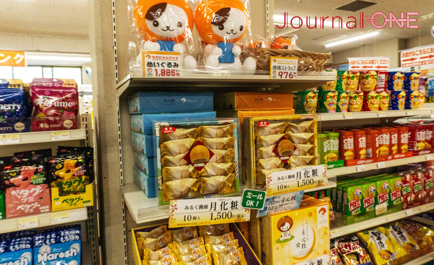 和歌山大学｜自然と知が融合する国立大学の魅力と特色