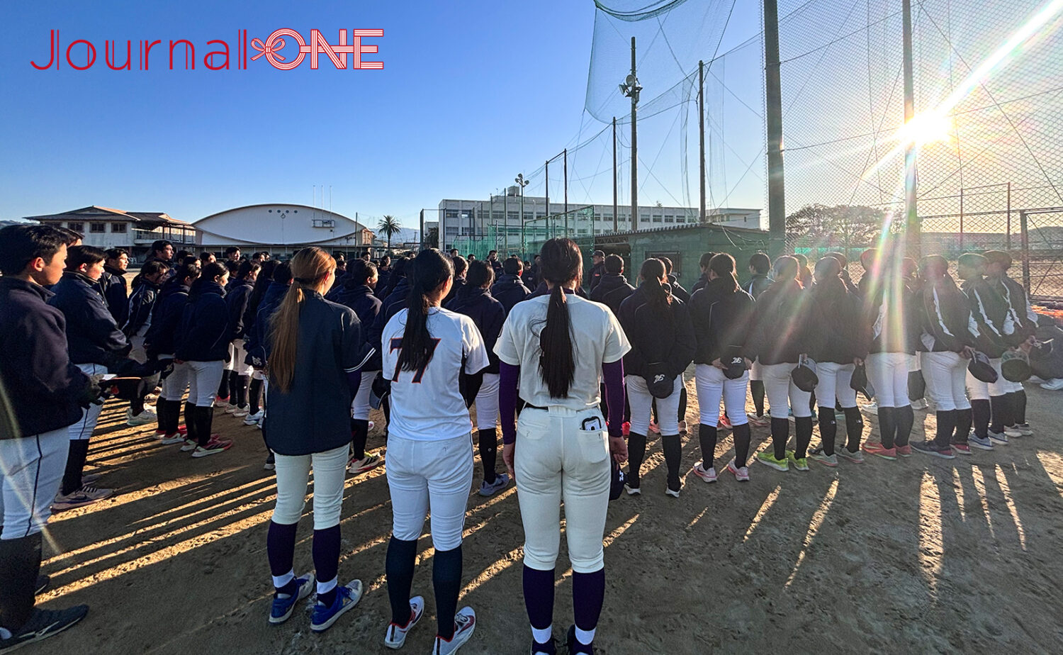 明治大学 和歌山大学