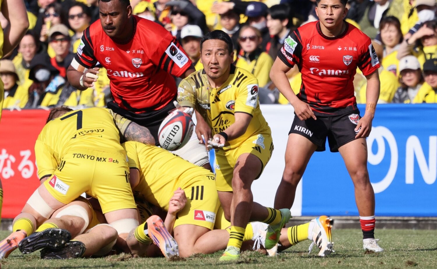 サンゴリアスの流大がテンポの良いパスを供給する