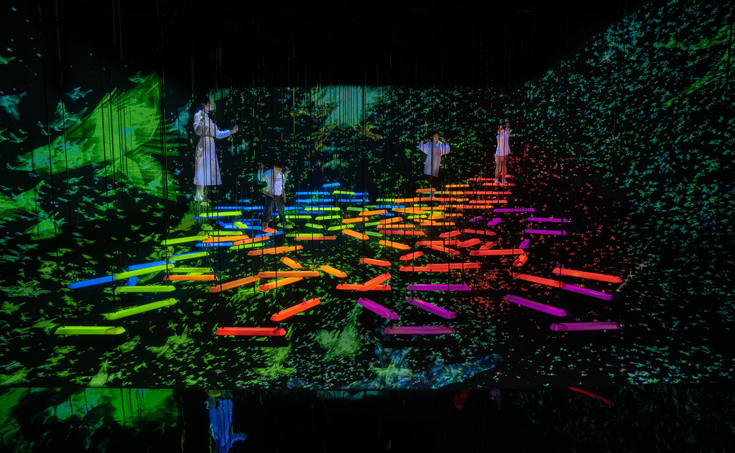 イロトリドリのエアリアルクライミング