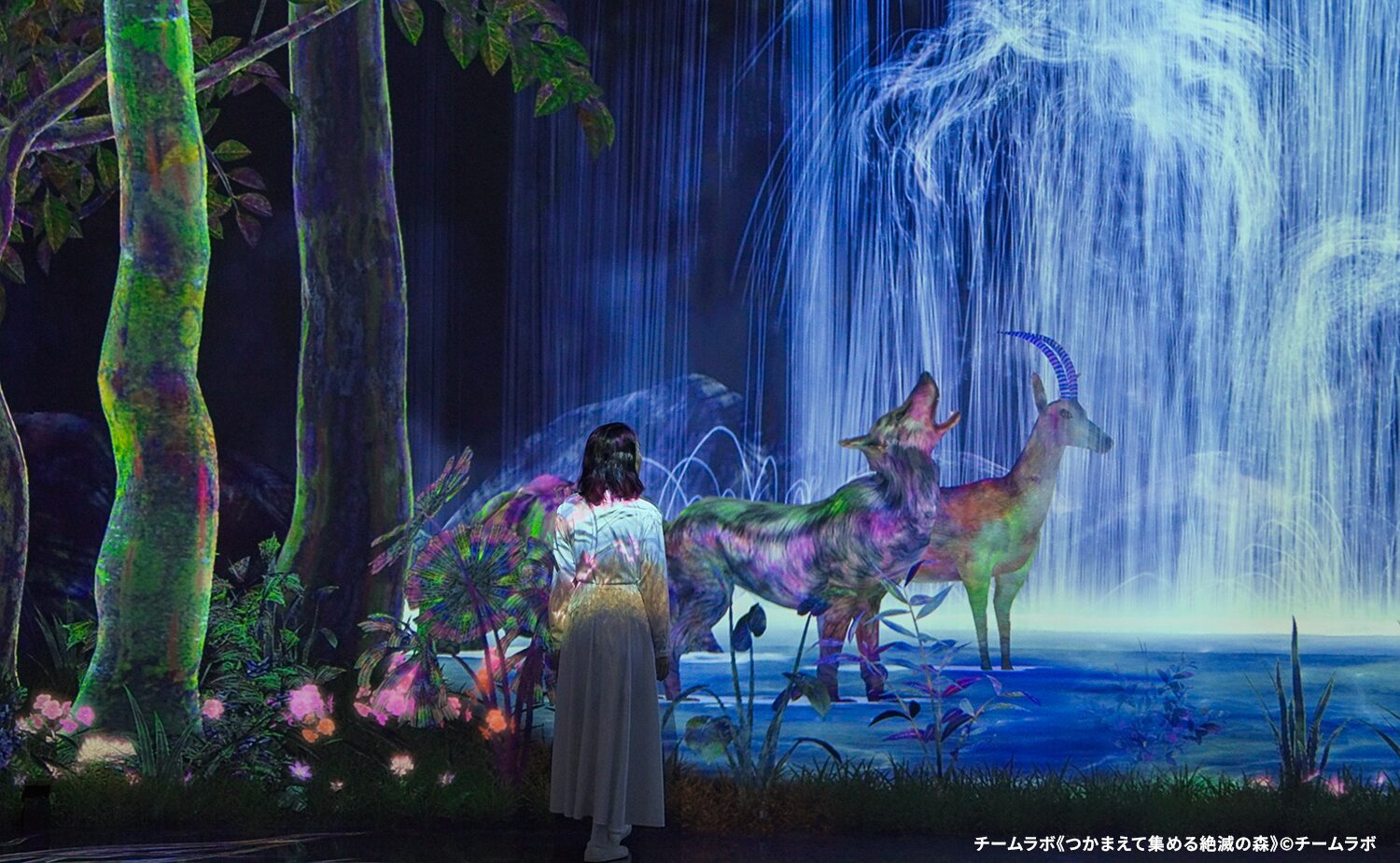 チームラボプラネッツ TOKYO DMM