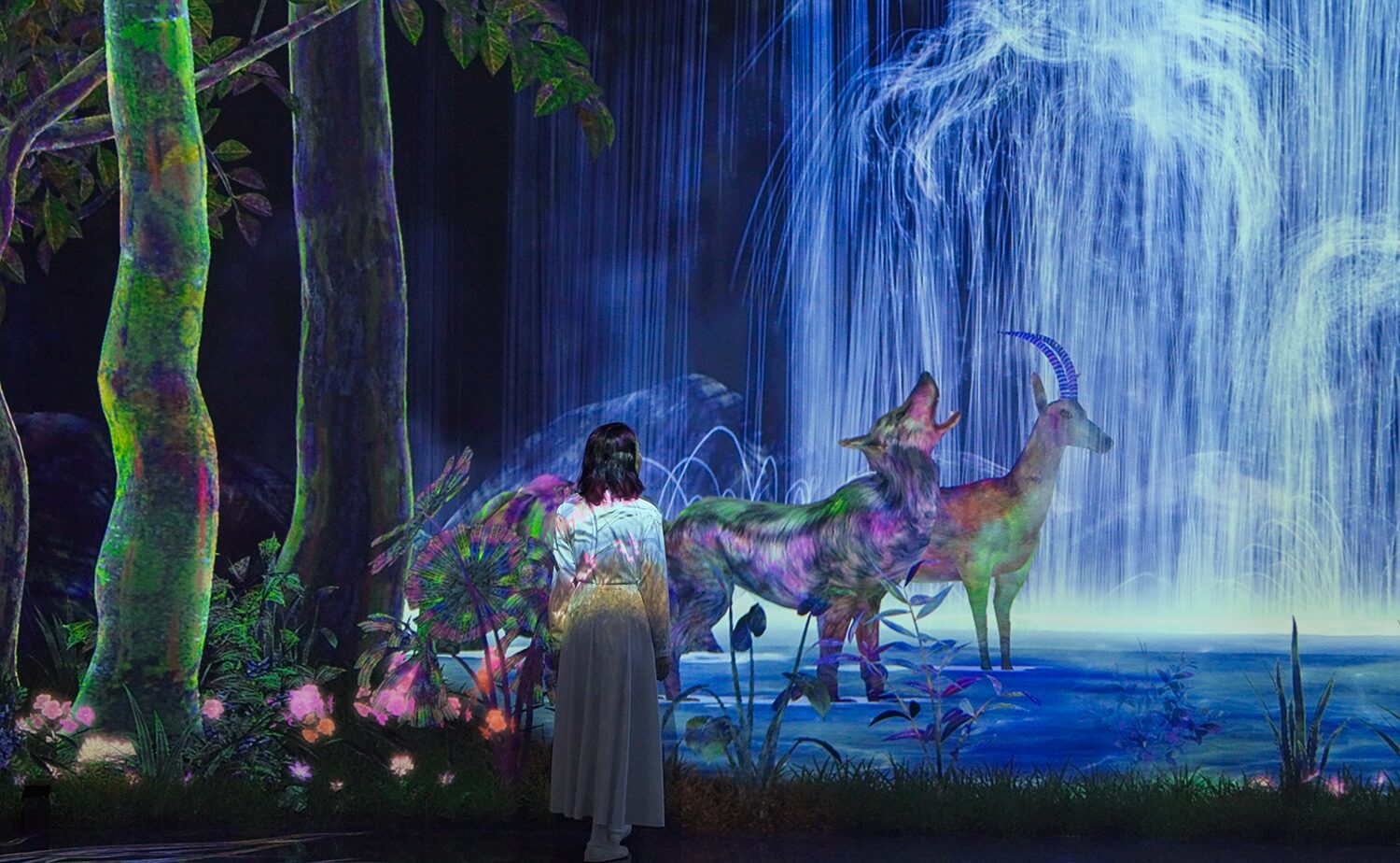 チームラボプラネッツ つかまえて集める絶滅の森