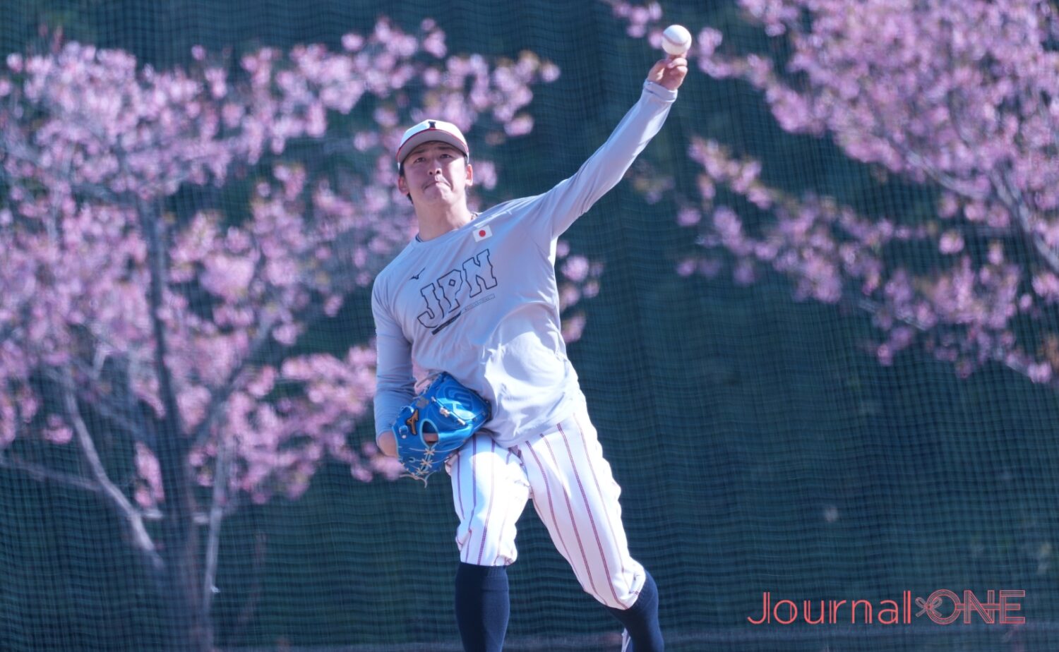 サポートメンバーから正式メンバーとなった隅田(西武)-Journal-ONE撮影