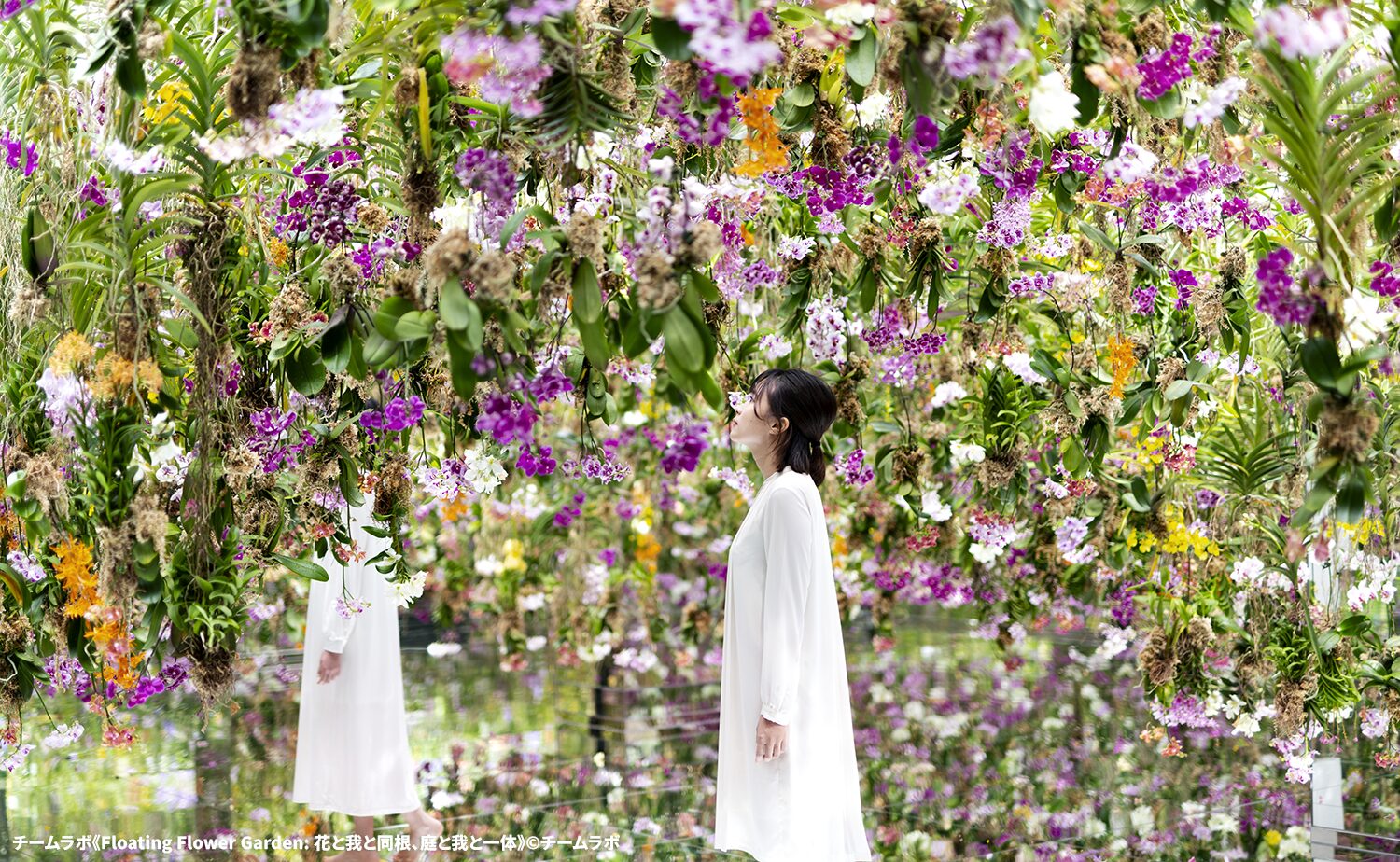 チームラボプラネッツ TOKYO DMM