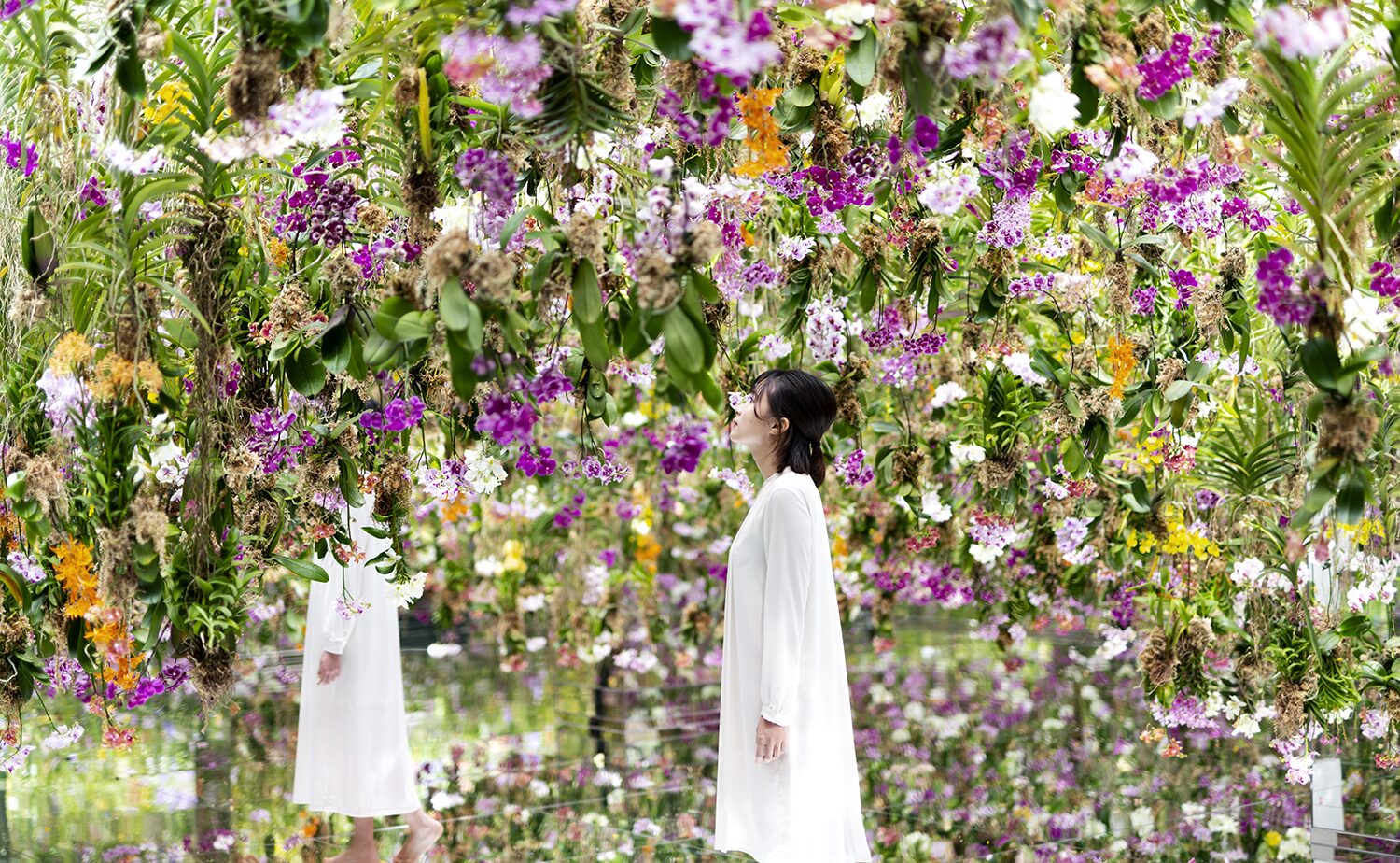 チームラボプラネッツ  Floating Flower Garden: 花と我と同根、庭と我と一体