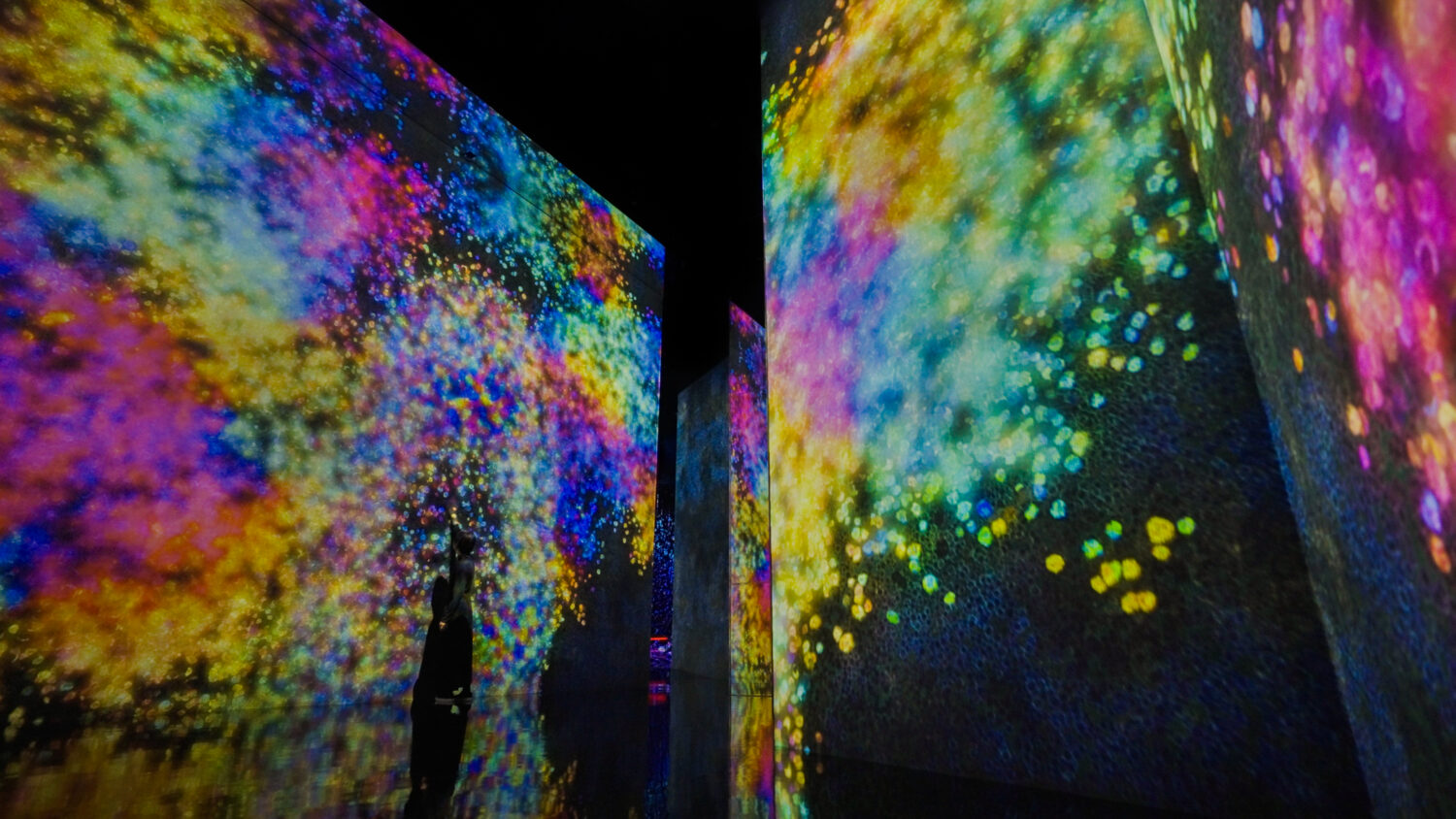 チームラボプラネッツ Autonomous Abstraction