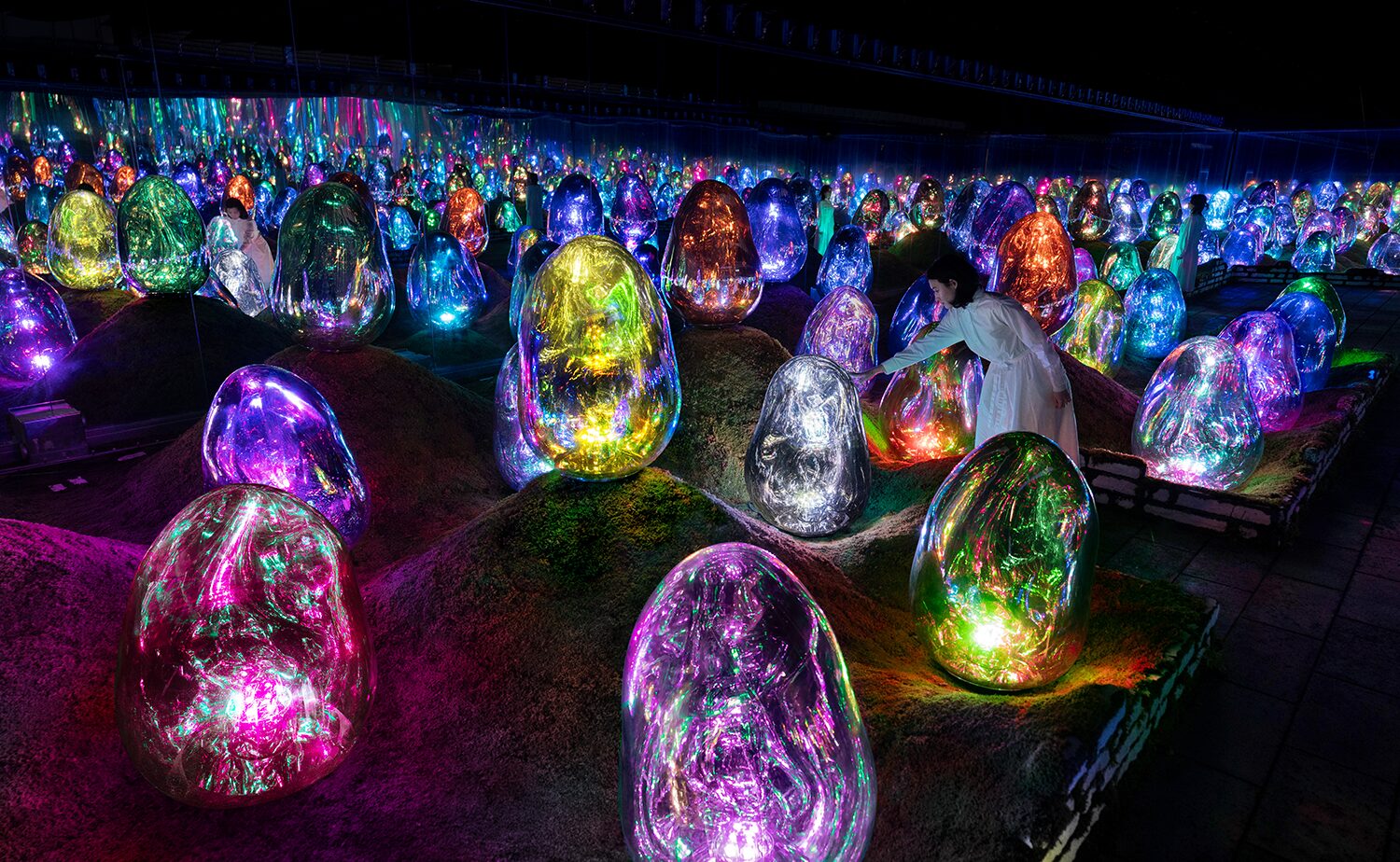 チームラボプラネッツ 呼応する小宇宙の苔庭 - 固形化された光の色, Dusk to Dawn