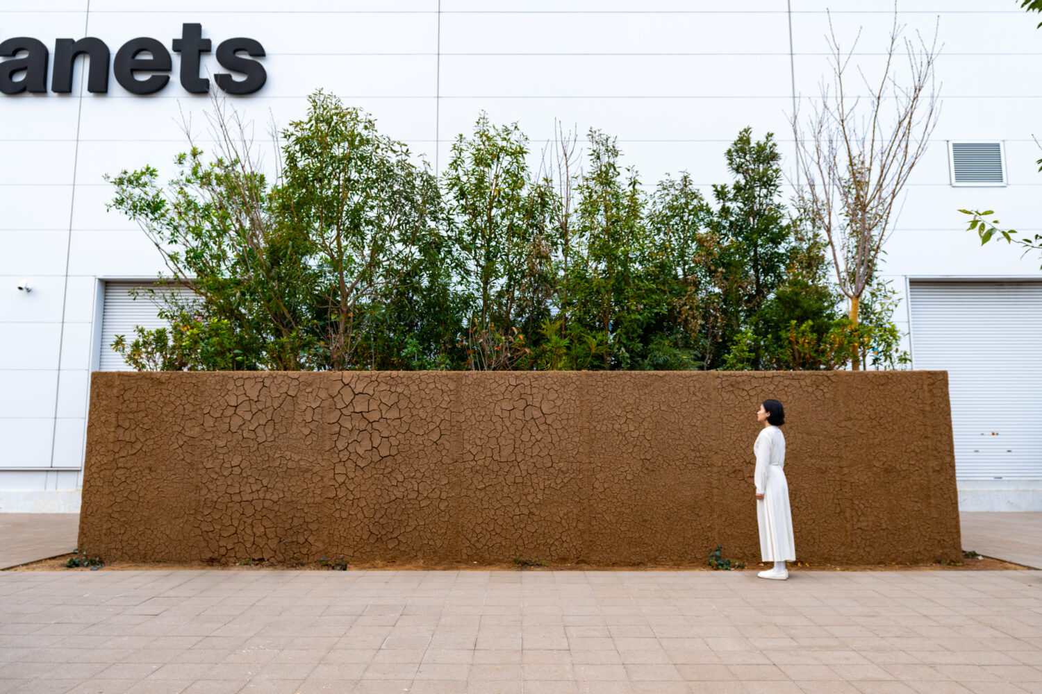 チームラボプラネッツ 土塊の小さな森