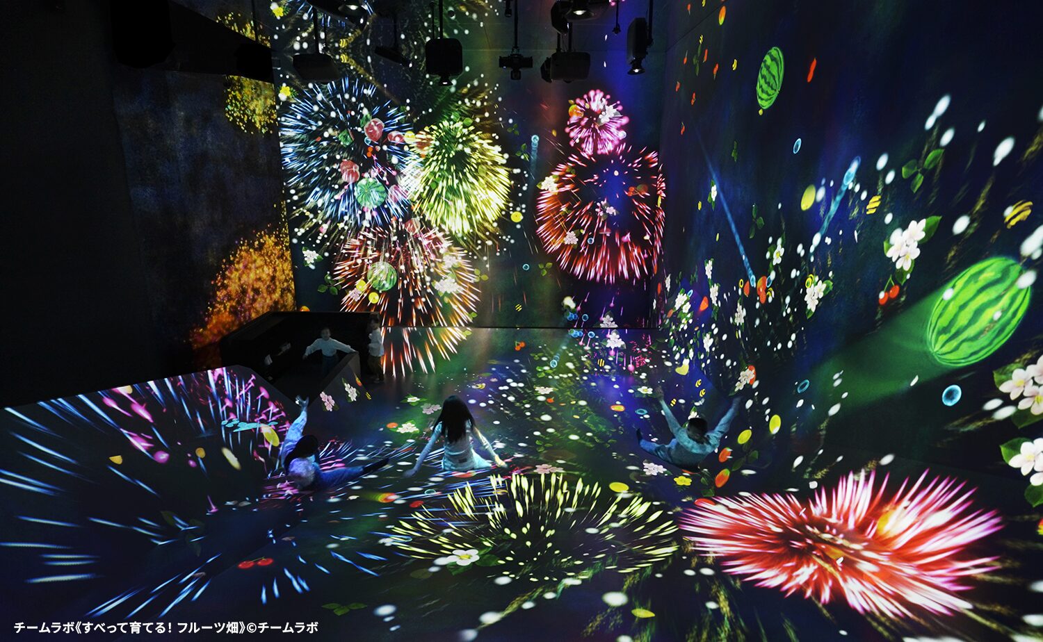 チームラボプラネッツ TOKYO DMM