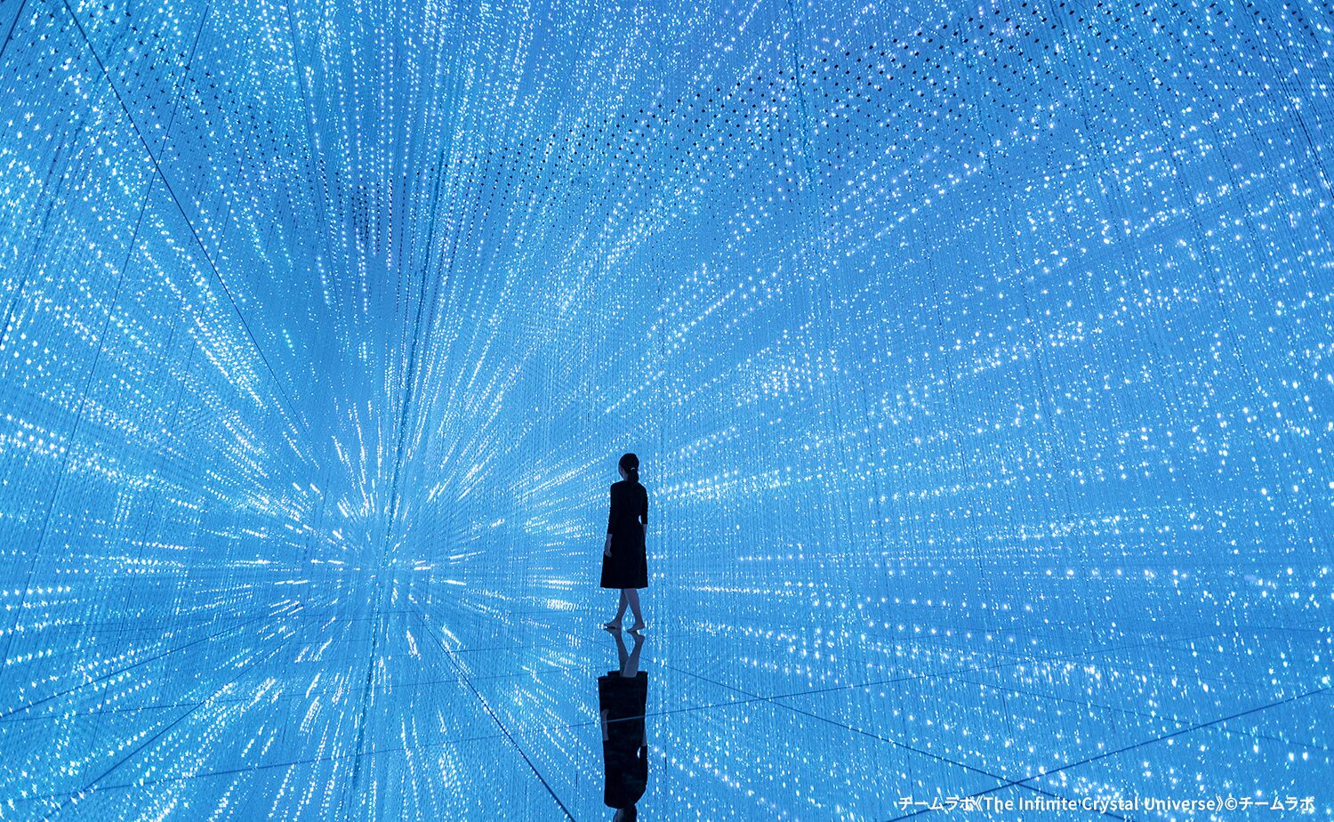 チームラボプラネッツ TOKYO DMM