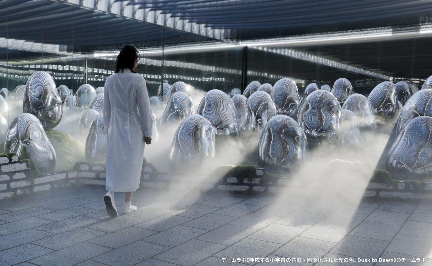 チームラボプラネッツ TOKYO DMM