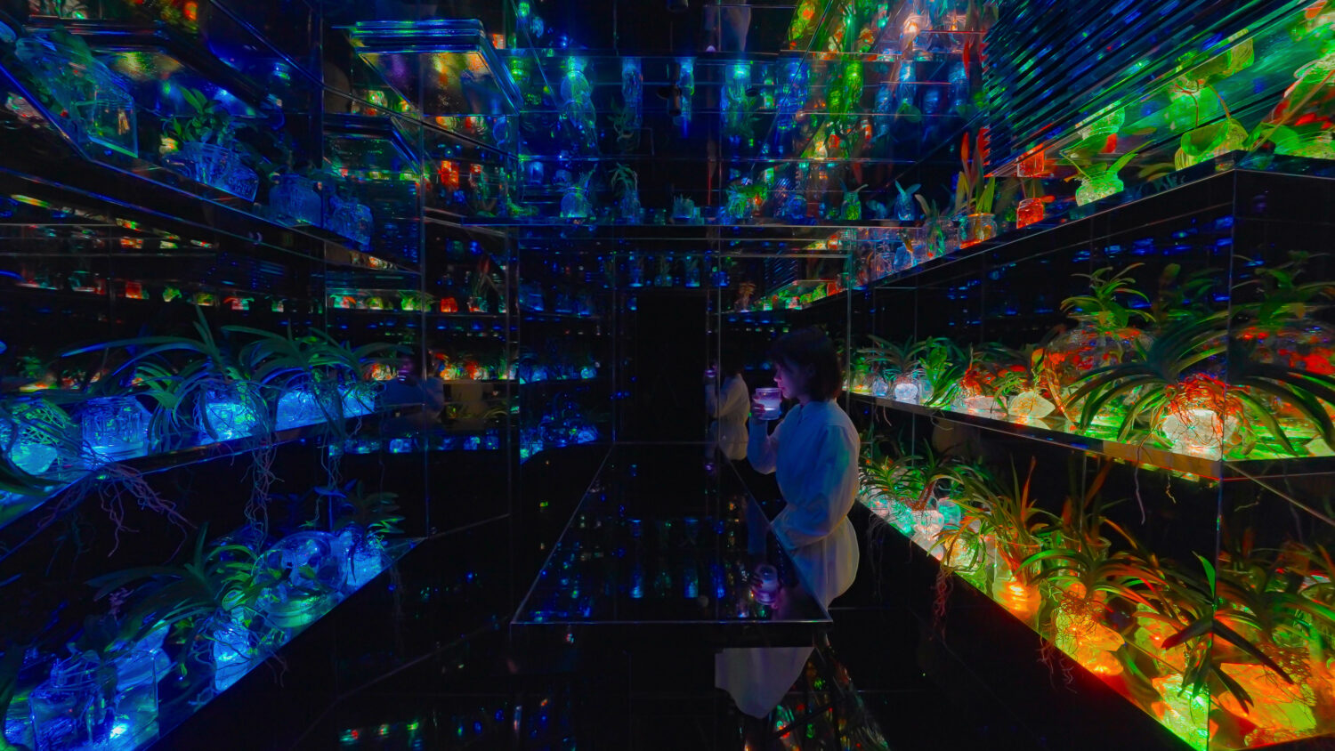 共鳴するナーサリーランプ